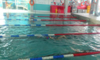 lekcja pływania dla dzieci w chełmcu